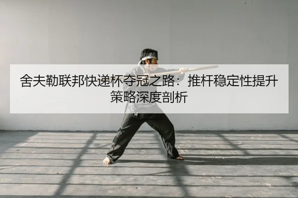 she-fu-lei-lian-bang-kuai-di-bei-duo-guan-zhi-lu-tui-gan-wen-ding-xing-ti-sheng-ce-lve-shen-du-pou-xi-2-884.jpg